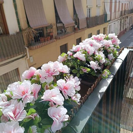 New! Luxury City Center & 2 Balconies マラガ エクステリア 写真
